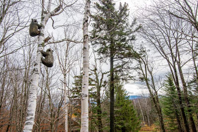 Peru, Vermont, 05152, United States, 5 Bedrooms Bedrooms, ,5 BathroomsBathrooms,Residential,Active,2014570