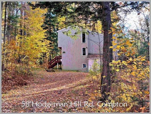 58 HODGEMAN HILL RD, CAMPTON, NH 03223 - Image 1