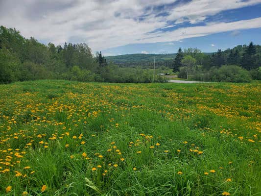 0 VT ROUTE 15, WALDEN, VT 05873 - Image 1