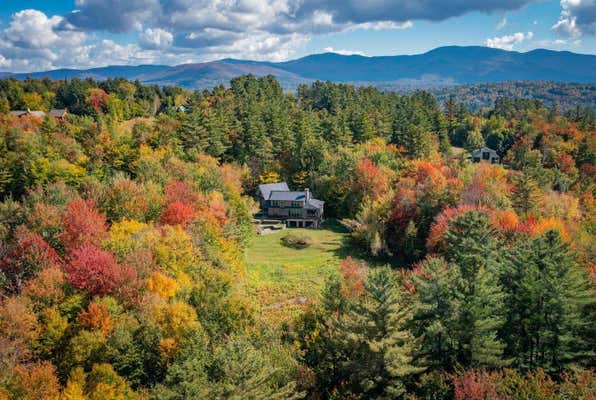 603 GREY BIRCH RD, STOWE, VT 05672 - Image 1