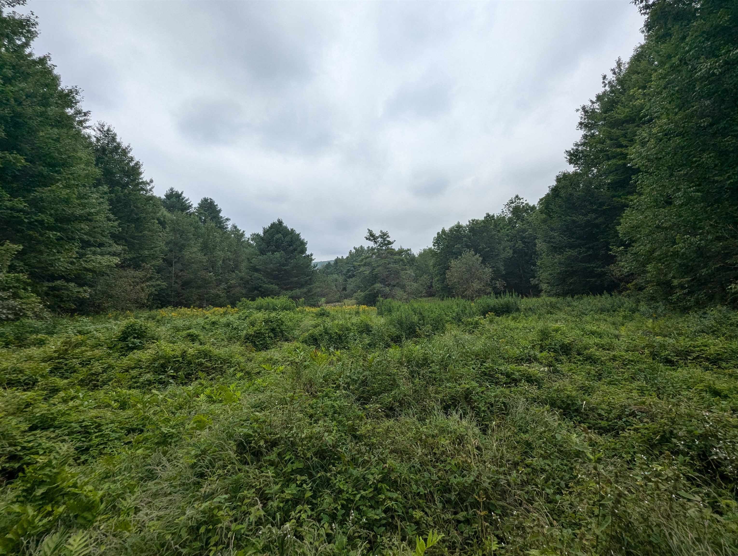 Woodbury, Vermont, 05681, United States, 3 Bedrooms Bedrooms, ,4 BathroomsBathrooms,Residential,Active,1952476