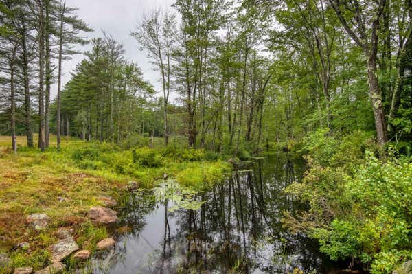 250 CHICKVILLE RD, OSSIPEE, NH 03864 - Image 1