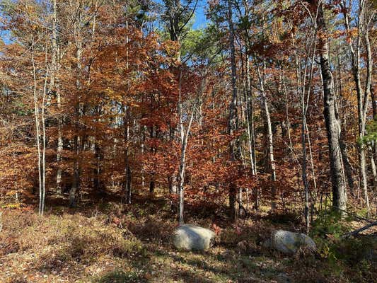 OFF OLD GOSHEN ROAD, CONWAY, NH 03813 - Image 1