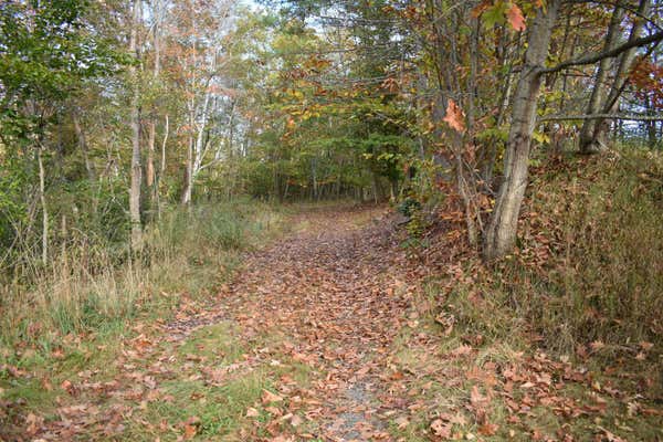 00 PILLSBURY STREET, ENFIELD, NH 03748 - Image 1