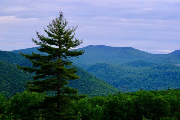 0 OLD BRIDGEWATER HILL ROAD, BRIDGEWATER, VT 05035 - Image 1