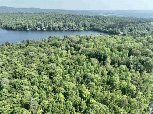 101A MARTINS POND LANE # LOT 1, PEACHAM, VT 05862 - Image 1