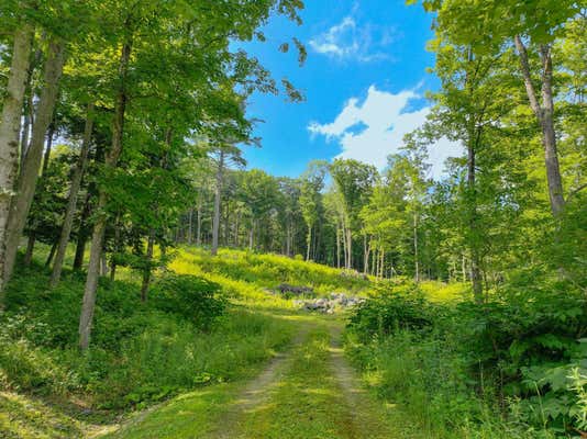 0 ROSE HILL ROAD, WOODSTOCK, VT 05091 - Image 1