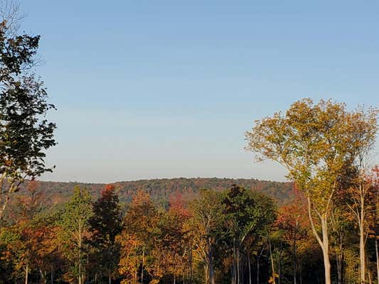 CILLEY HILL ROAD, JERICHO, VT 05465 - Image 1