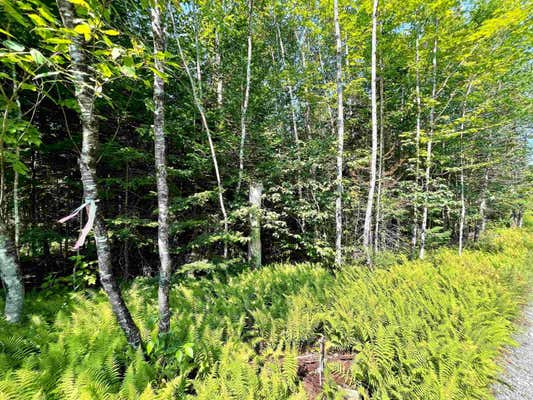 501 MARTINS POND LANE # LOT 2, PEACHAM, VT 05862 - Image 1