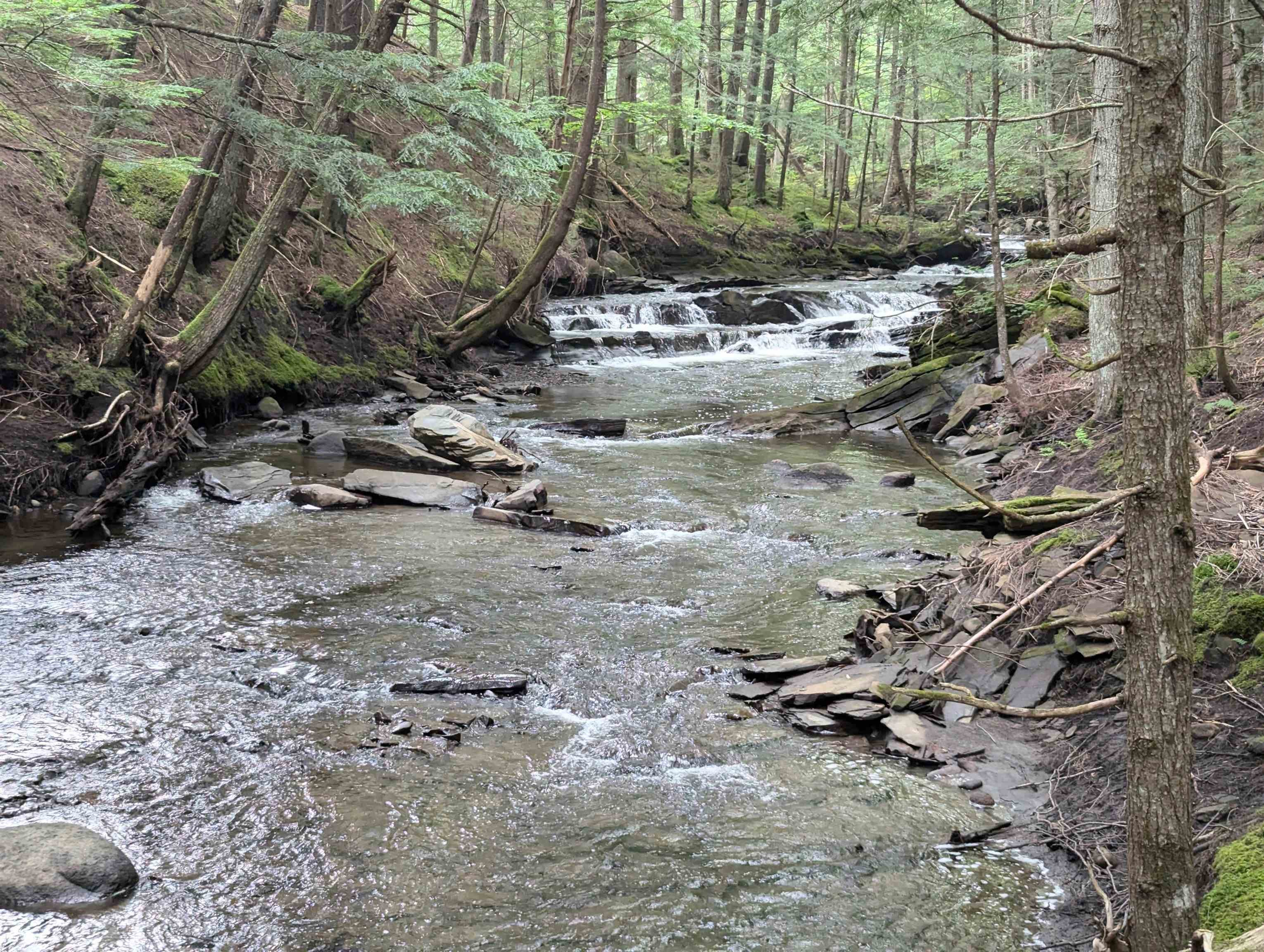 Woodbury, Vermont, 05681, United States, 3 Bedrooms Bedrooms, ,4 BathroomsBathrooms,Residential,Active,1952476