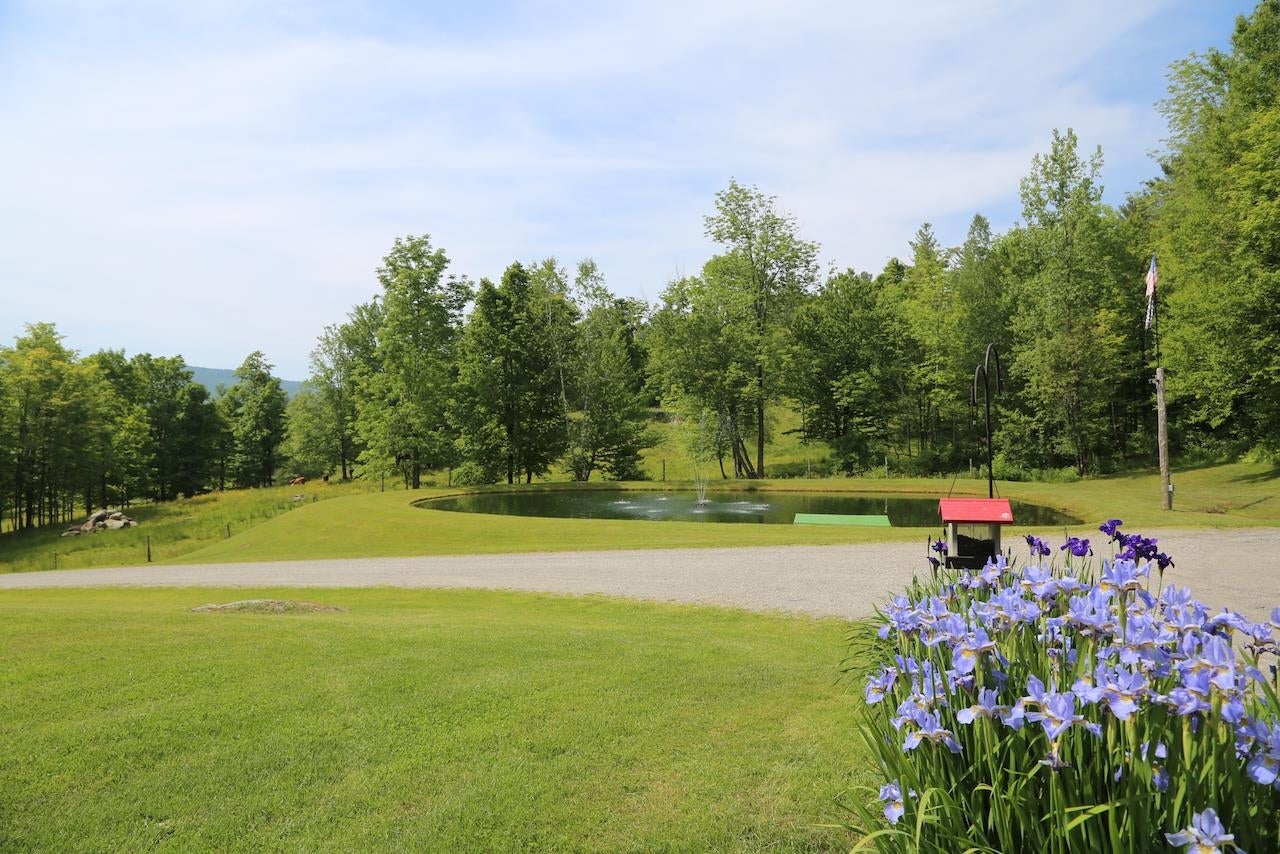 Underhill, Vermont, 05489, United States, ,3 BathroomsBathrooms,Residential,Pending,1702625