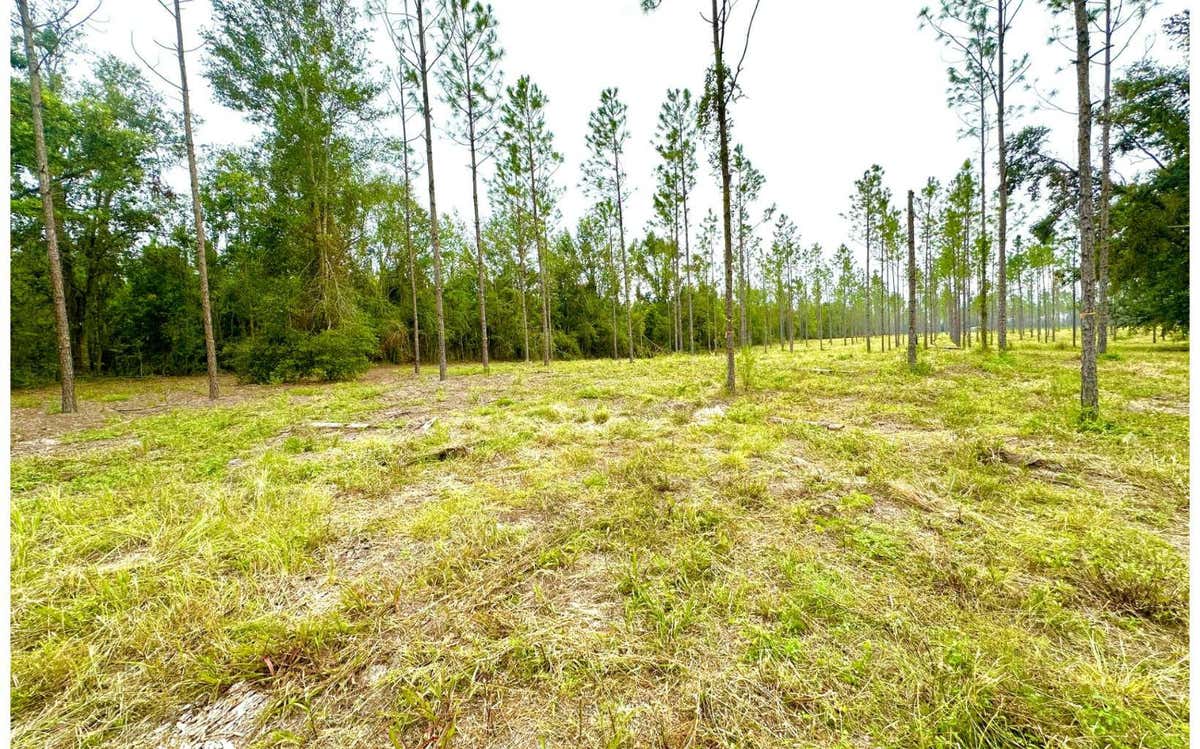 000 NW CR 348, MAYO, FL 32066, photo 1 of 10