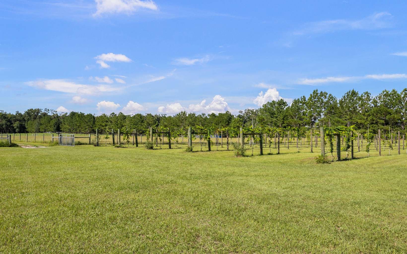 Wellborn, Florida, 32094, United States, 5 Bedrooms Bedrooms, ,3 BathroomsBathrooms,Residential,Active,1905112
