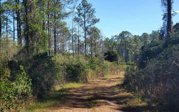 BAT & RICK RD, PERRY, FL 32347, photo 5 of 31