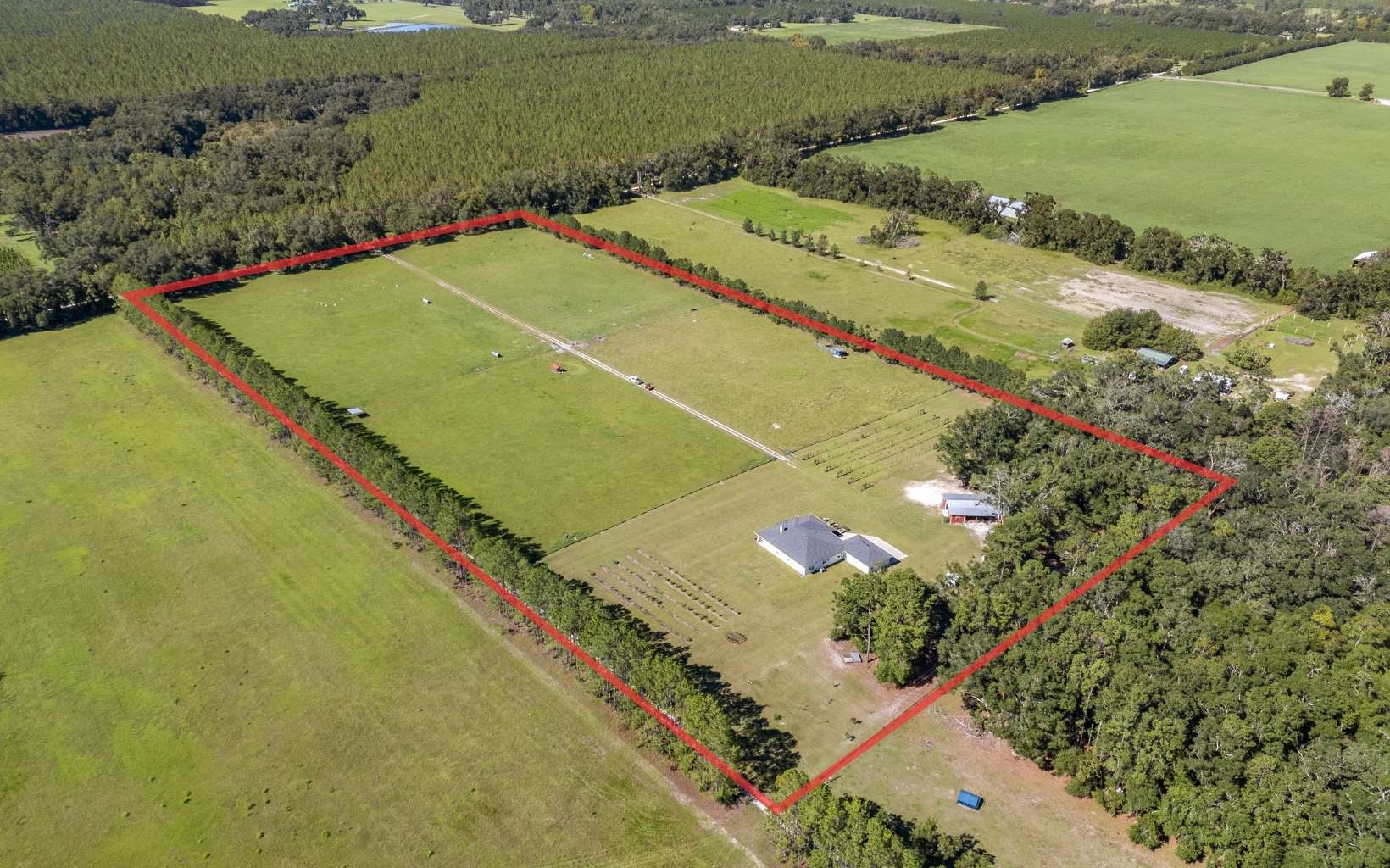 Wellborn, Florida, 32094, United States, 5 Bedrooms Bedrooms, ,3 BathroomsBathrooms,Residential,Active,1905112