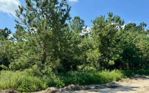 LOT 2 NW 63RD TERRACE, JENNINGS, FL 32053 - Image 1