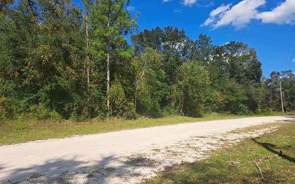 TBD SW HOMESTEAD CIRCLE, FORT WHITE, FL 32038 - Image 1