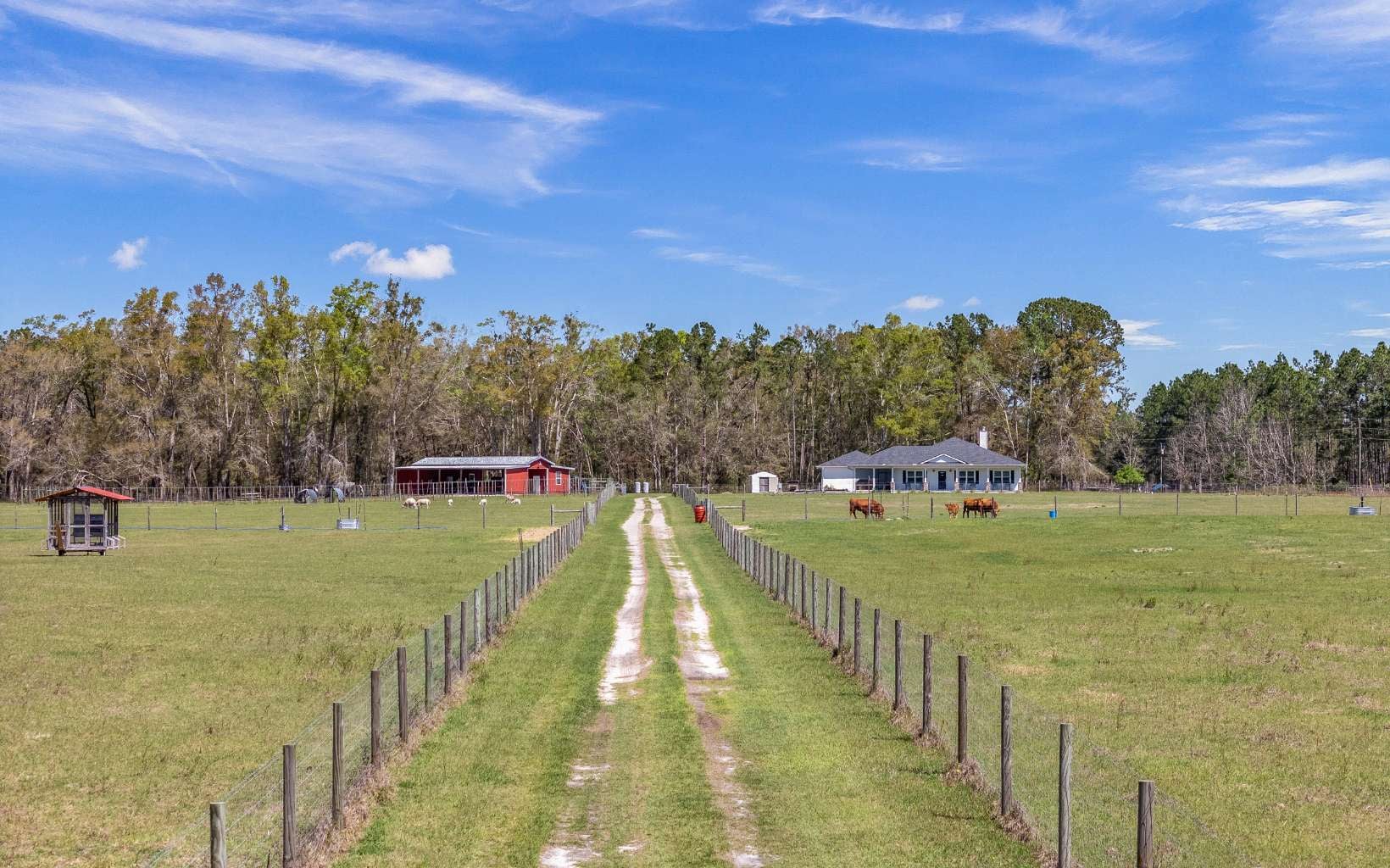 Wellborn, Florida, 32094, United States, 5 Bedrooms Bedrooms, ,3 BathroomsBathrooms,Residential,Active,1905112