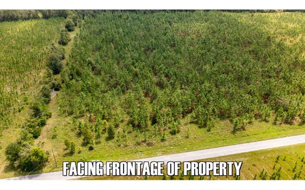 TBD 193RD RD, LIVE OAK, FL 32060 - Image 1