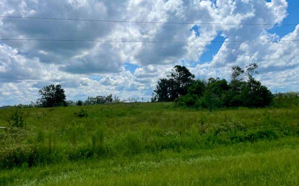 00 NW CR 260, MAYO, FL 32066 - Image 1