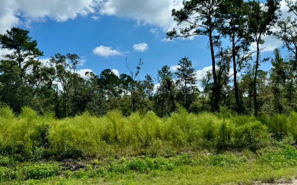 LOT26 NW 67TH COURT, JENNINGS, FL 32053 - Image 1