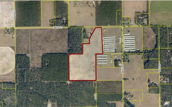 TBD 184TH STREET, MCALPIN, FL 32062 - Image 1