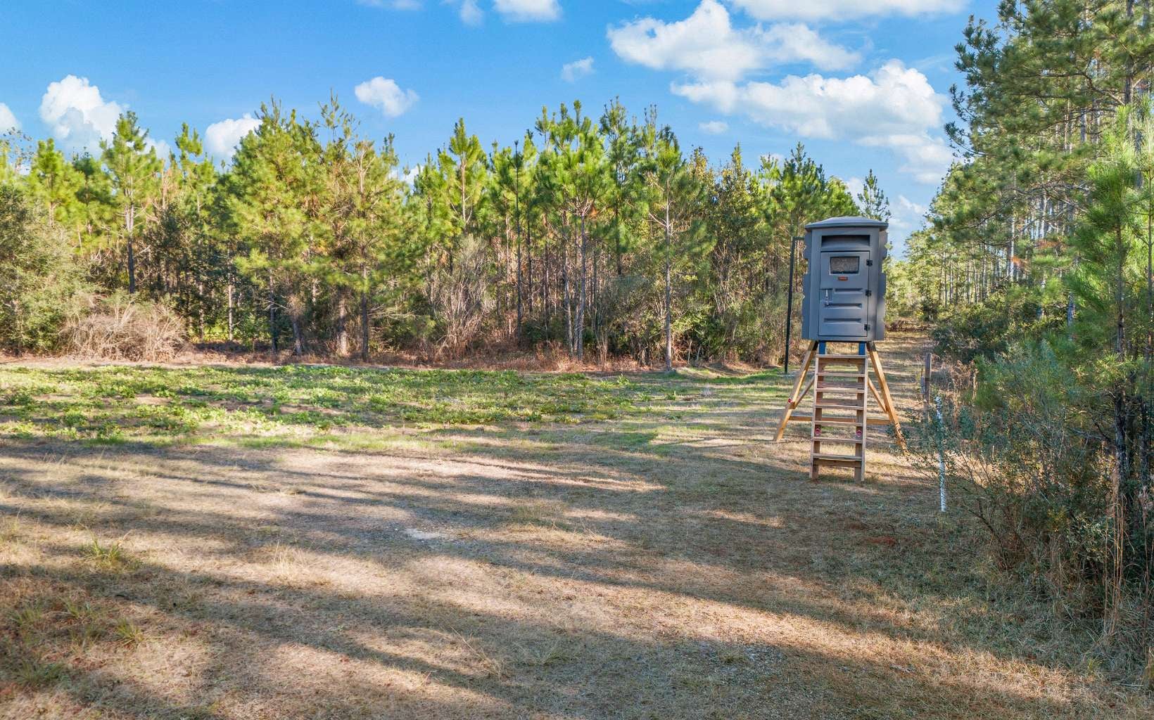 White Springs, Florida, 32096, United States, 1 Bedroom Bedrooms, ,2 BathroomsBathrooms,Residential,Active,1808145
