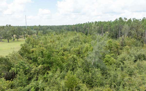 10 AC RIVER ROAD - LOT 28, LIVE OAK, FL 32060, photo 4 of 14