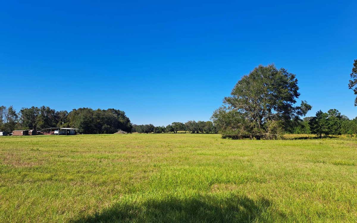 TBD SE GRAHAM COURT, LAKE CITY, FL 32025, photo 1 of 52