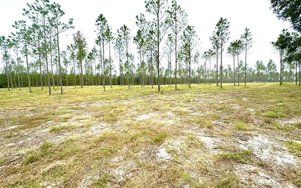 000 NW CR 348, MAYO, FL 32066, photo 2 of 10