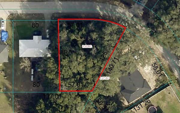 TBD DOGWOOD TRAIL COURSE, OCALA, FL 34472 - Image 1