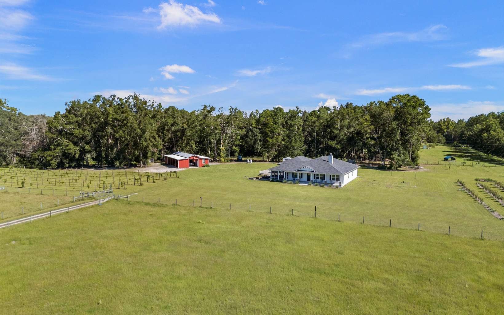 Wellborn, Florida, 32094, United States, 5 Bedrooms Bedrooms, ,3 BathroomsBathrooms,Residential,Active,1905112