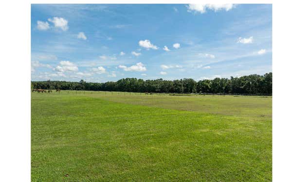 14630 47TH RD, WELLBORN, FL 32094 - Image 1