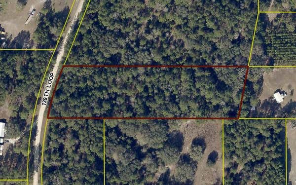 TBD1 139TH LOOP, LIVE OAK, FL 32060 - Image 1