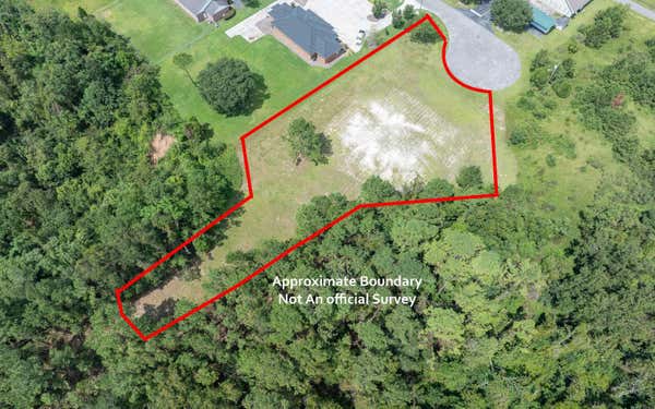 0 NE CANYON AVE, LIVE OAK, FL 32060 - Image 1