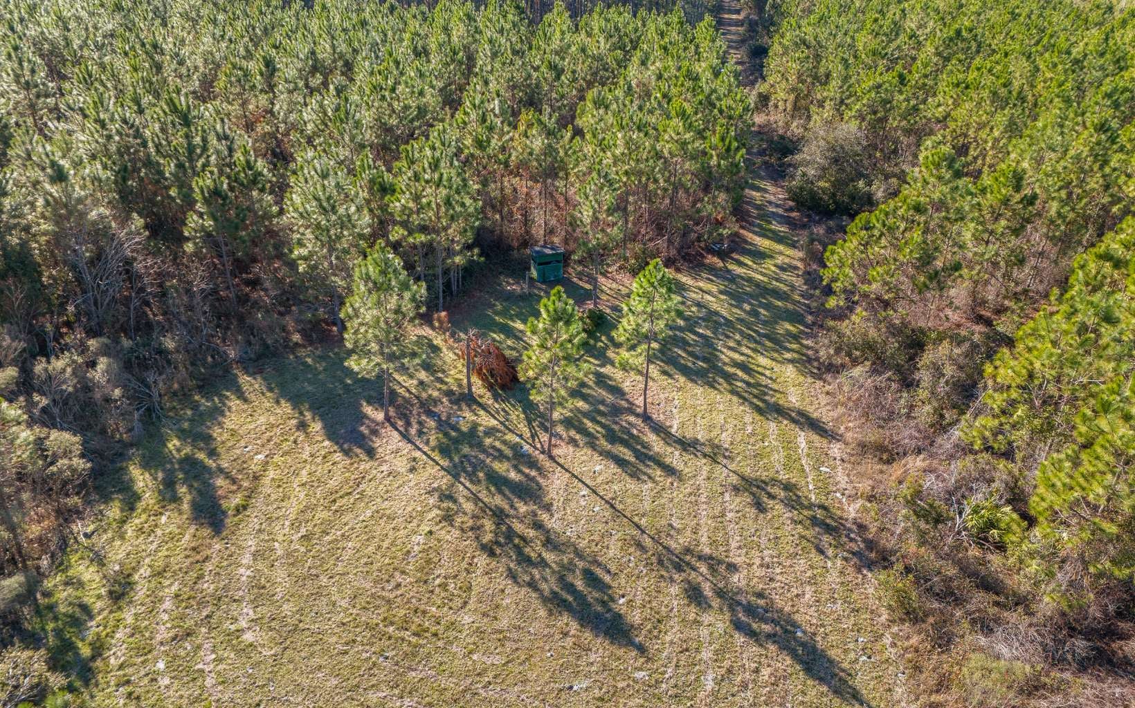 White Springs, Florida, 32096, United States, 1 Bedroom Bedrooms, ,2 BathroomsBathrooms,Residential,Active,1808145