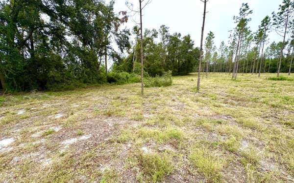 000 NW CR 348, MAYO, FL 32066, photo 3 of 10