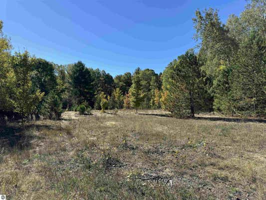 LOT 280 OTTAWA TRAIL, BUCKLEY, MI 49620 - Image 1