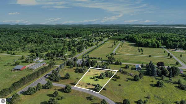 LOT 2 WEDGEWOOD COURT, CADILLAC, MI 49601 - Image 1