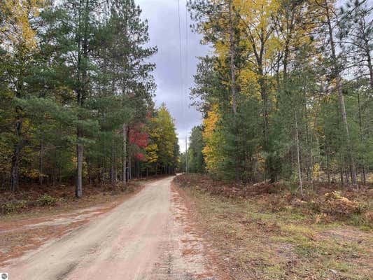 TWIN TRAIL, SOUTH BOARDMAN, MI 49680 - Image 1