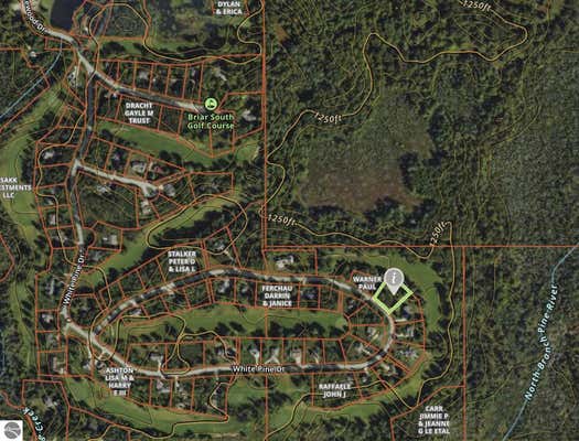 000 WHITE PINE DRIVE, CADILLAC, MI 49601 - Image 1