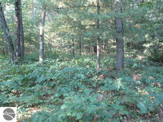 LOT 137&138 TABOR AVENUE, INTERLOCHEN, MI 49643 - Image 1