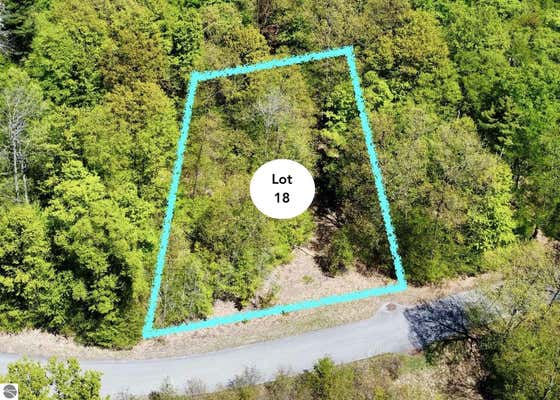 LOT 18 S CLUB DRIVE, CEDAR, MI 49621 - Image 1