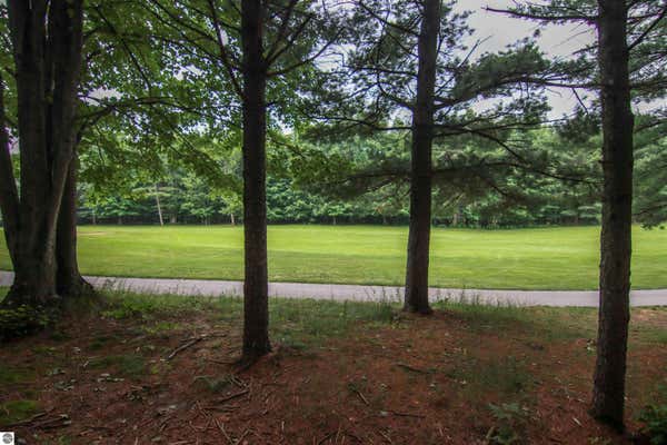 0000-UNIT 39 TRAILSIDE DRIVE, THOMPSONVILLE, MI 49683 - Image 1