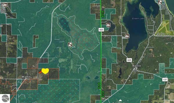 70 ACRES WALLIN ROAD, THOMPSONVILLE, MI 49683 - Image 1