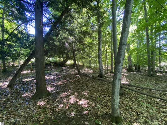 LOT 9 S CLUB DRIVE, CEDAR, MI 49621 - Image 1