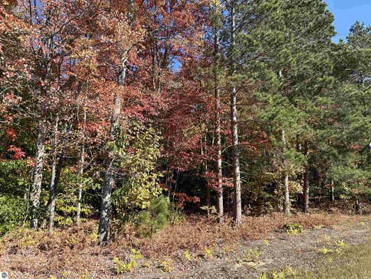 0 M-115, THOMPSONVILLE, MI 49683 - Image 1