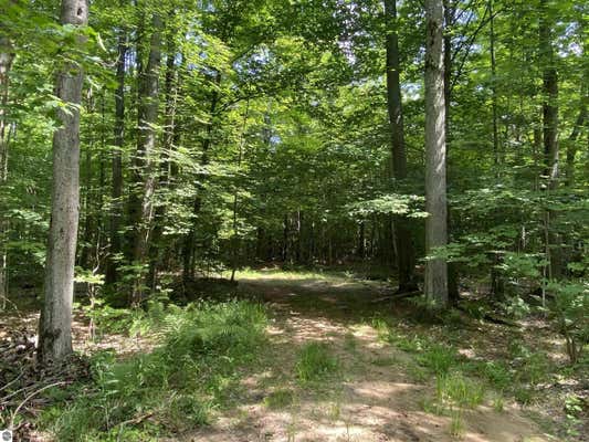 DEMERLY ROAD, BENZONIA, MI 49616 - Image 1