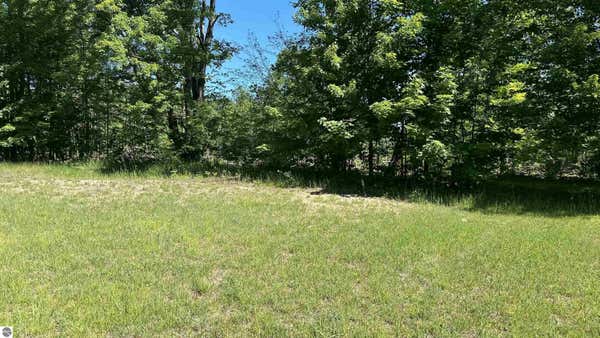 100 ERIC DR, KALKASKA, MI 49646, photo 5 of 6