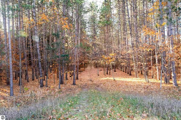 LOT A THIEL ROAD, TRAVERSE CITY, MI 49685, photo 5 of 12